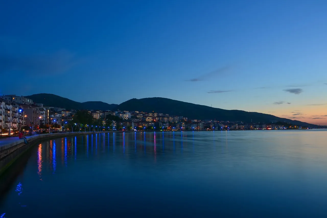 Kocaeli web tasarım